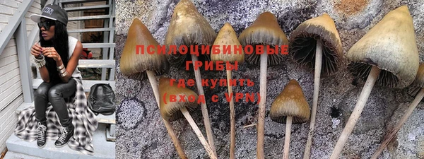 прущие крисы Алексеевка