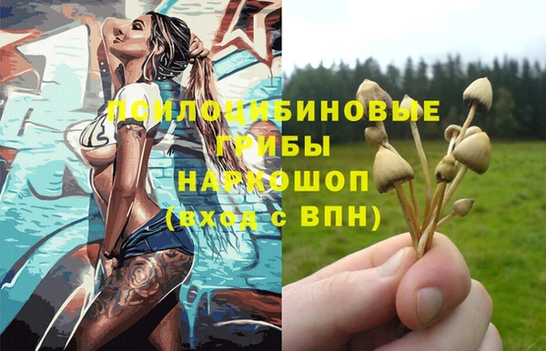 прущие крисы Алексеевка