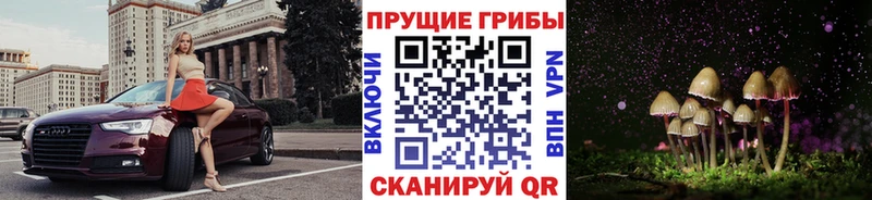 Галлюциногенные грибы мухоморы  hydra зеркало  Новочеркасск 