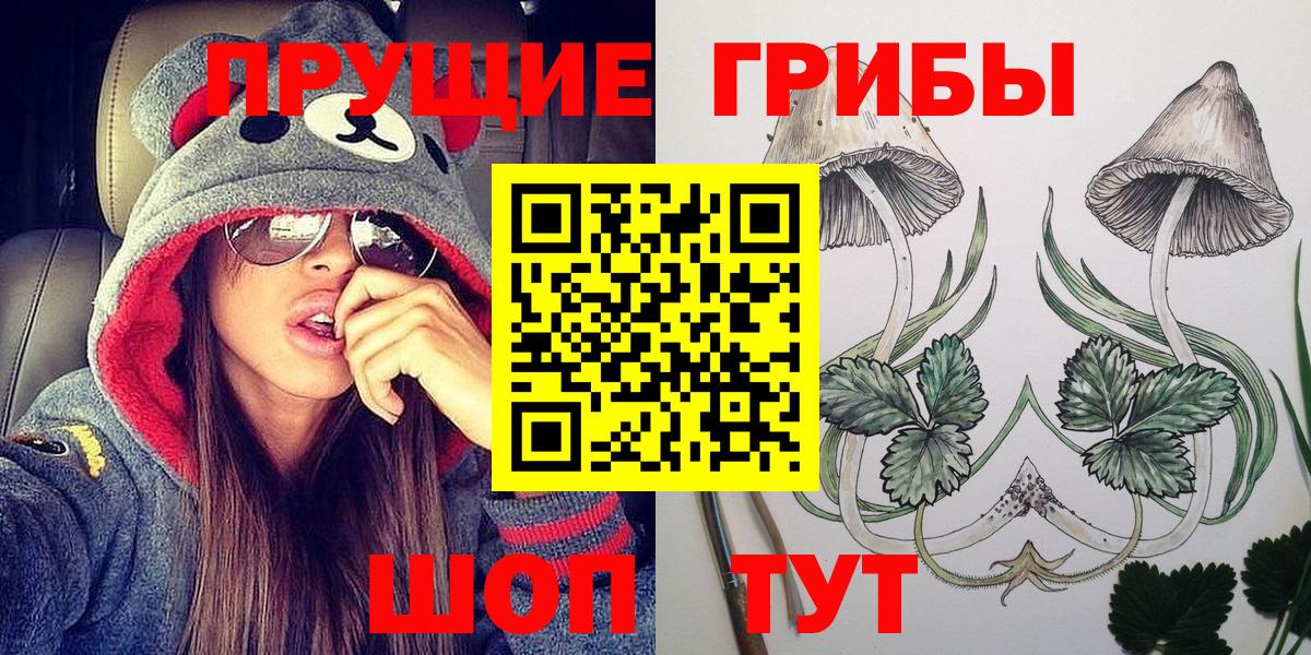 Псилоцибиновые грибы прущие грибы Новочеркасск